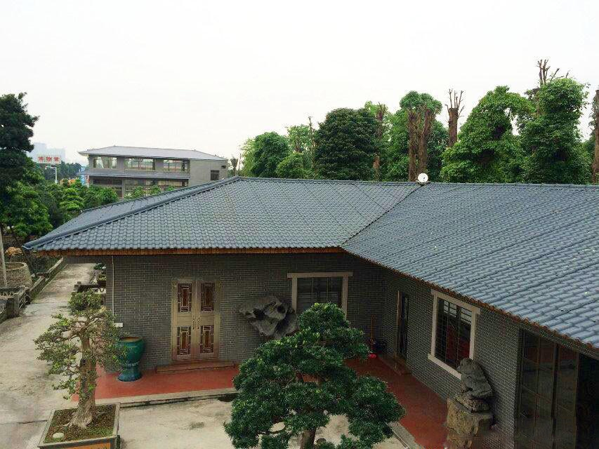 農(nóng)村自建房蓋合成樹(shù)脂瓦，美得不要不要的！